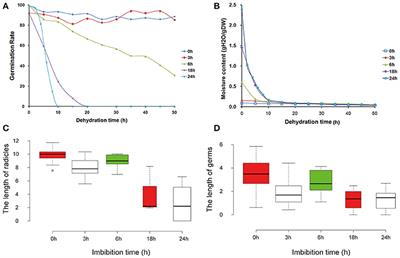 Frontiers | Transcriptomic Profiling Reveals Metabolic and 